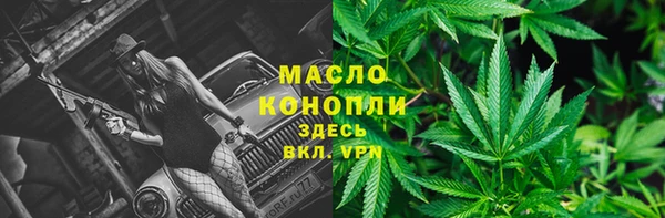 твердый Верхний Тагил