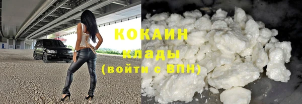 твердый Верхний Тагил