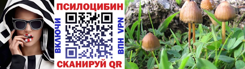 мега маркетплейс  Вышний Волочёк  Галлюциногенные грибы ЛСД  цена наркотик 