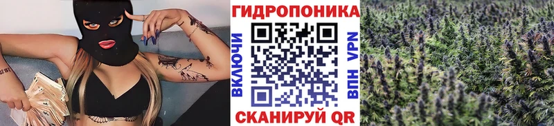 купить наркотик  Вышний Волочёк  Бошки Шишки ГИДРОПОН 